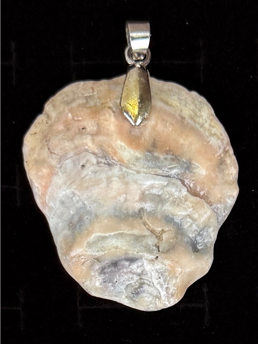 Natural Oyster Shell Pendant Coastal Beach Ocean One of a Kind